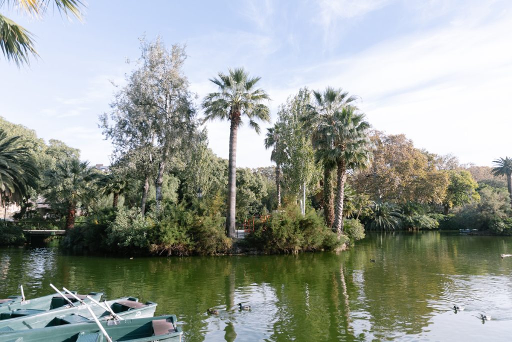 A small island with tall palm trees and dense greenery sits in the middle of a greenish lake, with rowboats docked in the foreground and a mostly clear sky overhead.