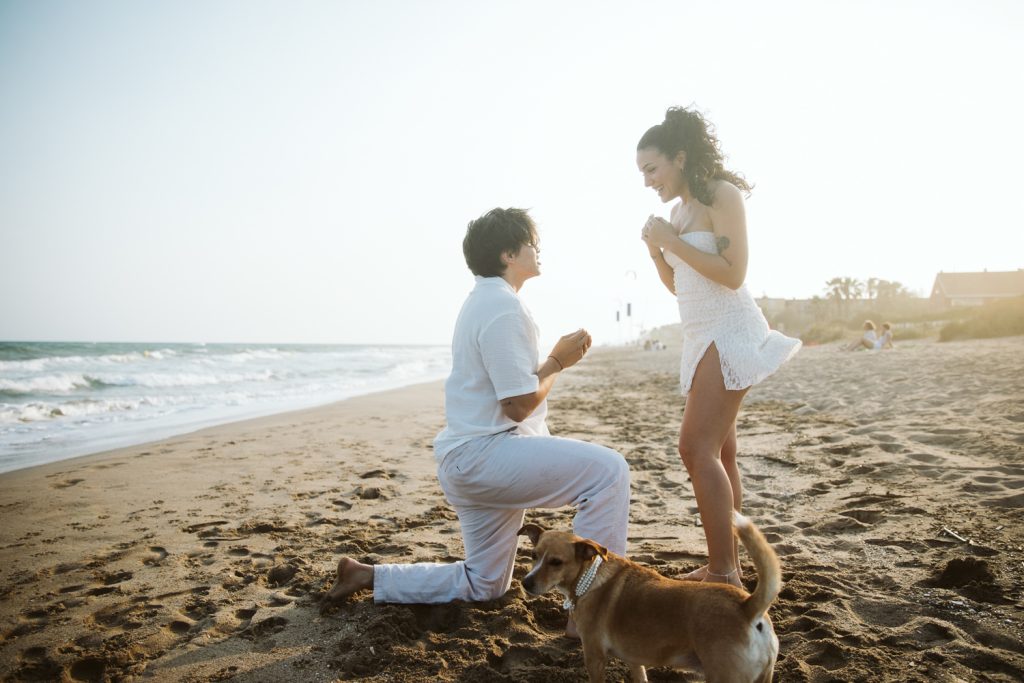 A person kneels on the sandy beach proposing to their partner, who looks surprised and joyful. Both are dressed in white, with a small brown dog standing nearby. The ocean and houses are visible in the background.