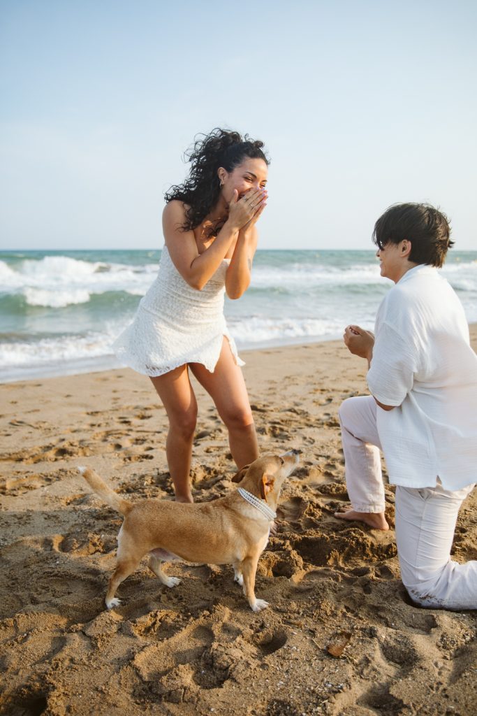 A person kneels on the sand, making a surprise beach proposal near Barcelona to a woman in a white dress, as their small dog stands between them. Waves and blue sky complete this magical moment.